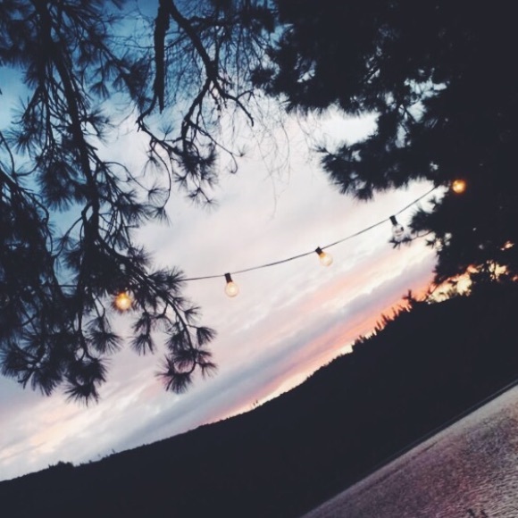 joanna_cox